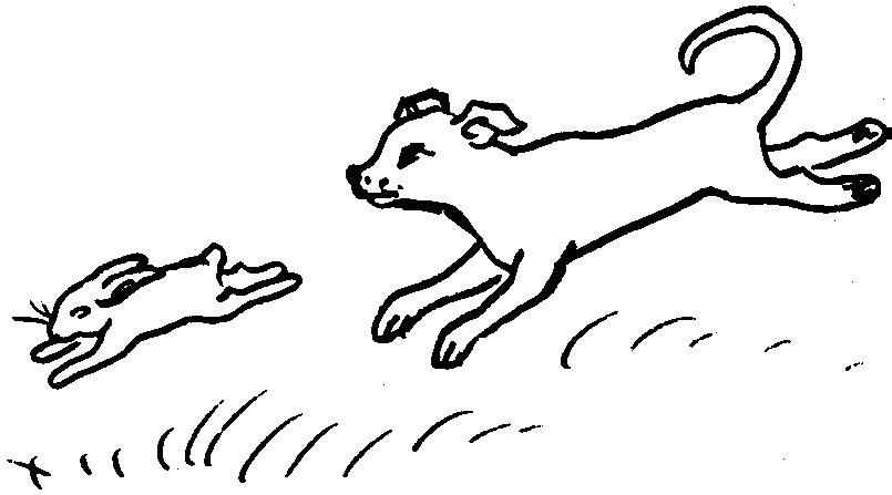perro y conejo