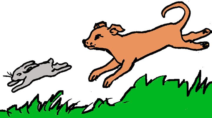 el perro y el conejo el perro y el conejo