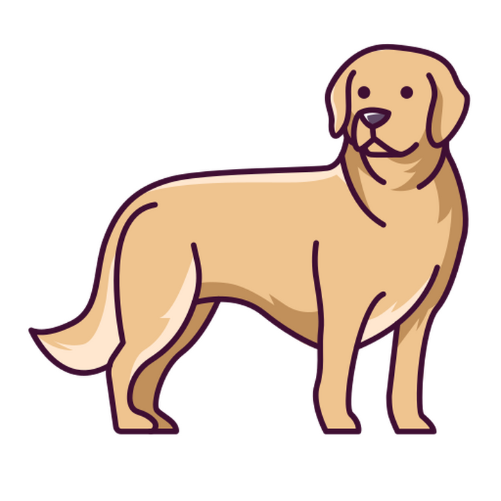 perro perro