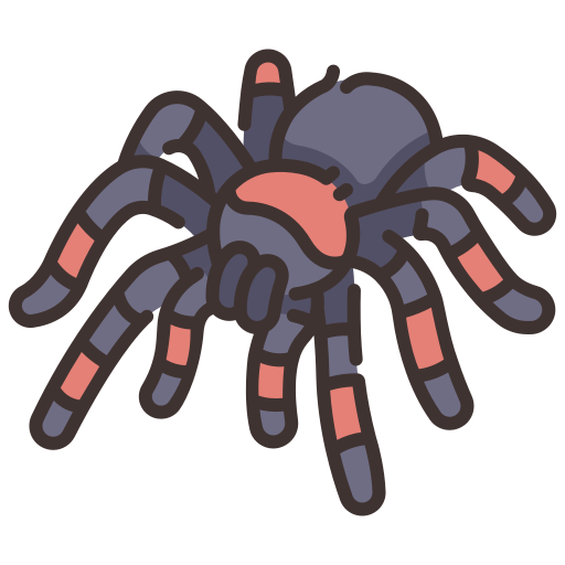 araña araña