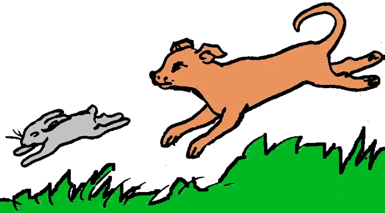 el perro y el conejo