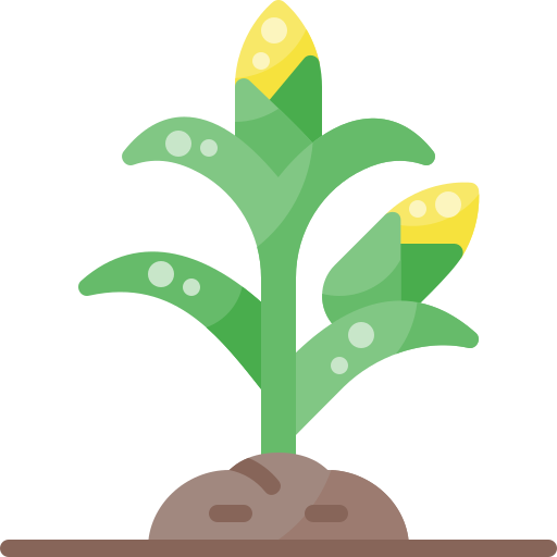 Milpa Milpa